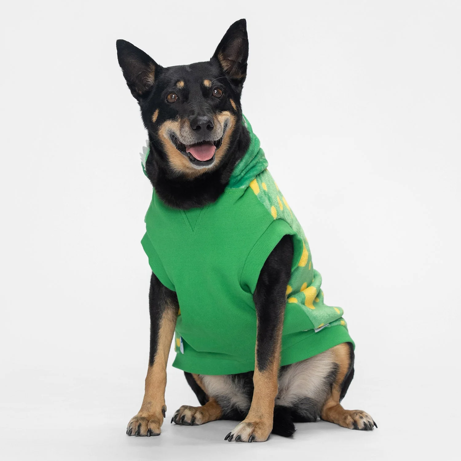 Wiggles - Image 4