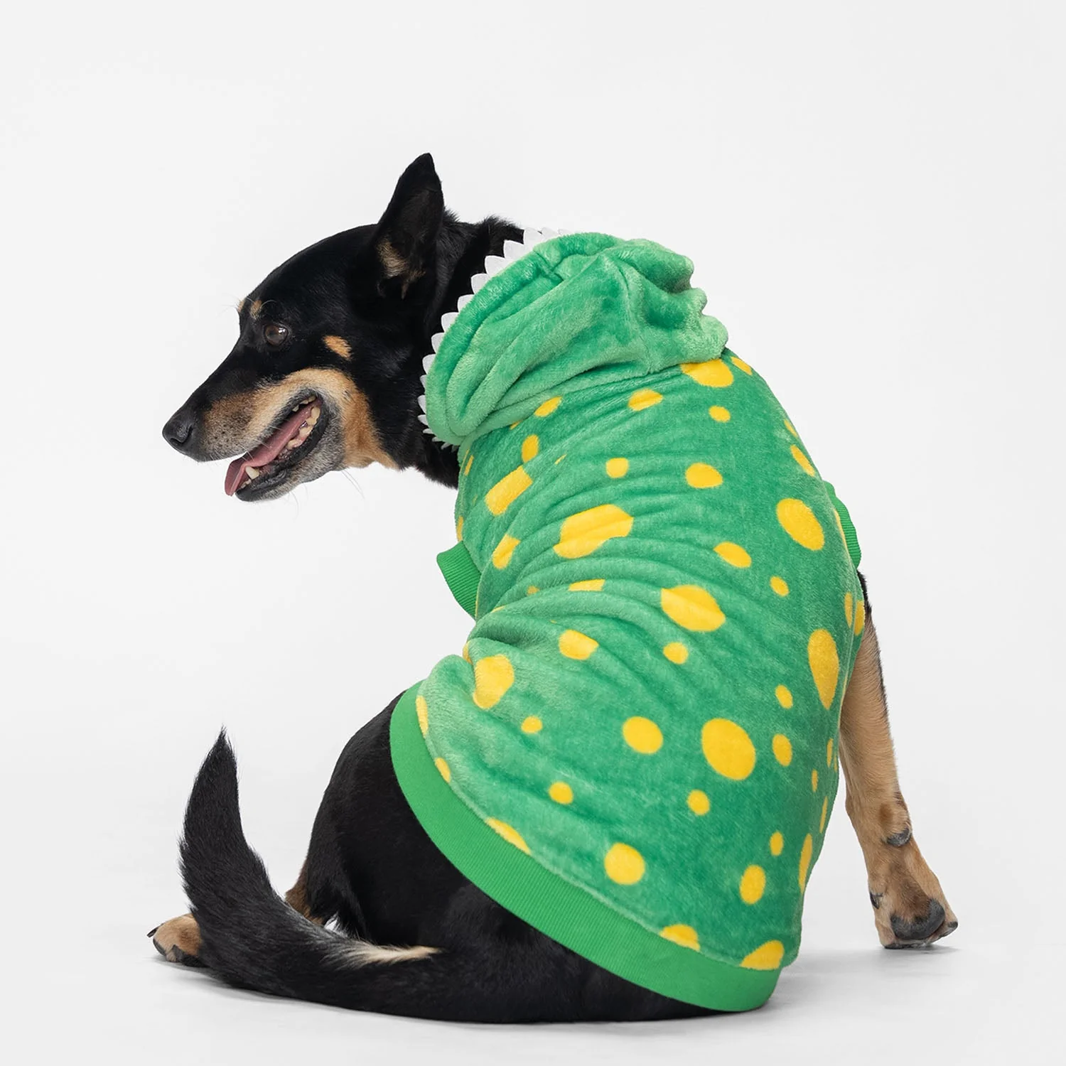 Wiggles - Image 6